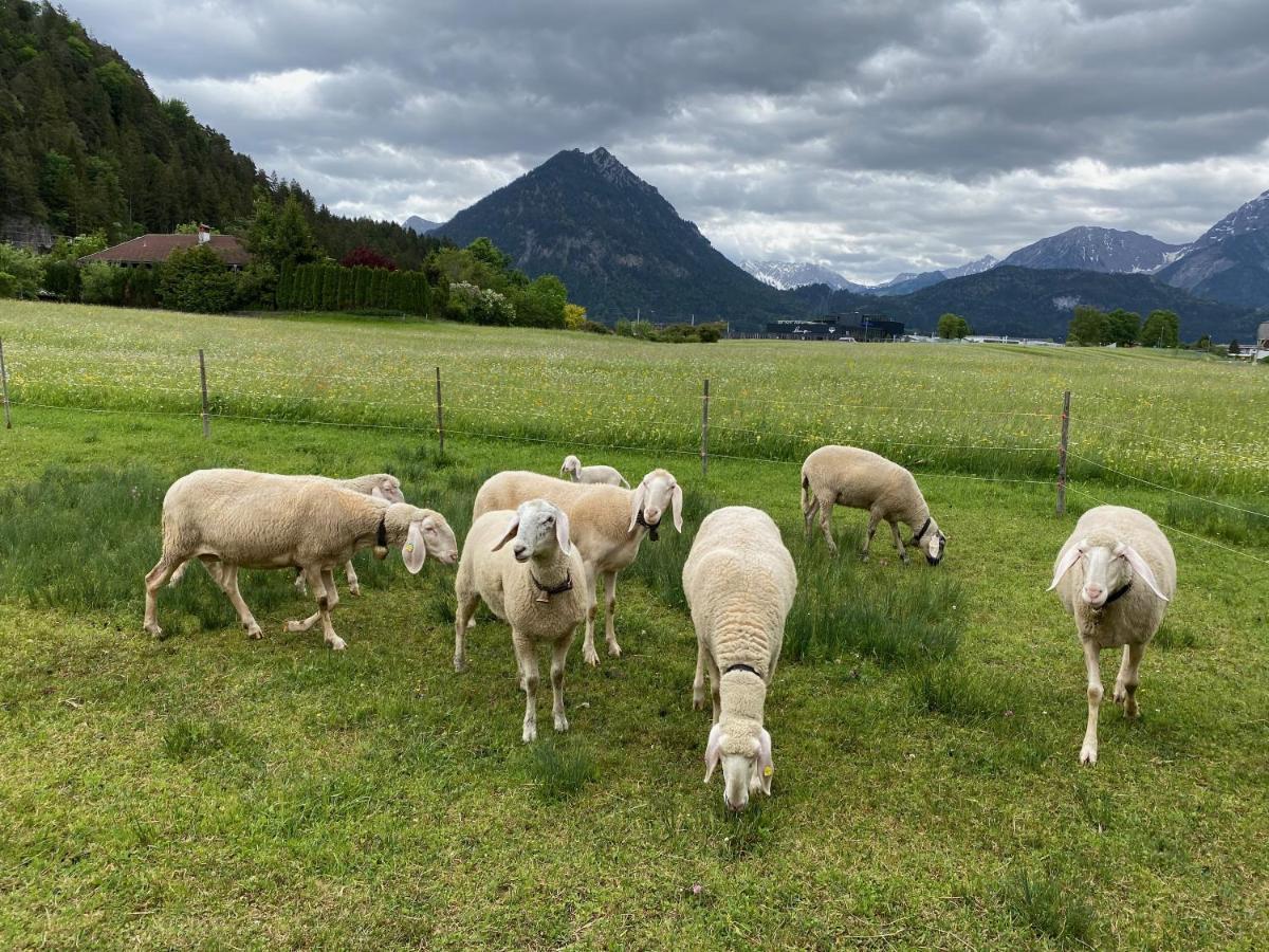 Ferienwohnung Alma Pflach Exteriör bild